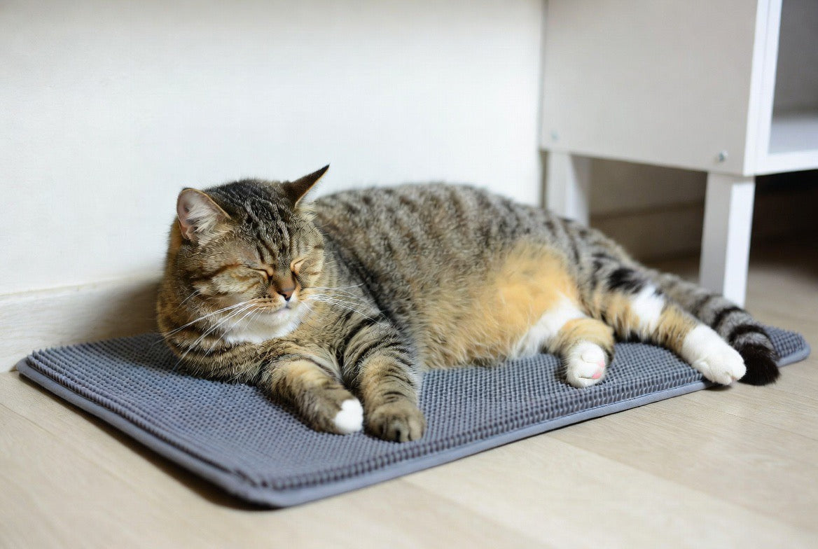 ZenPaw Cooling Mat