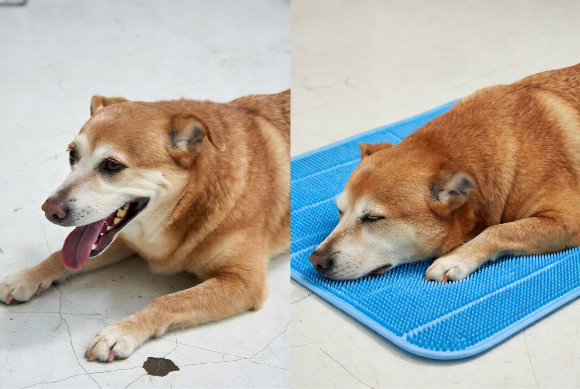 ZenPaw Cooling Mat