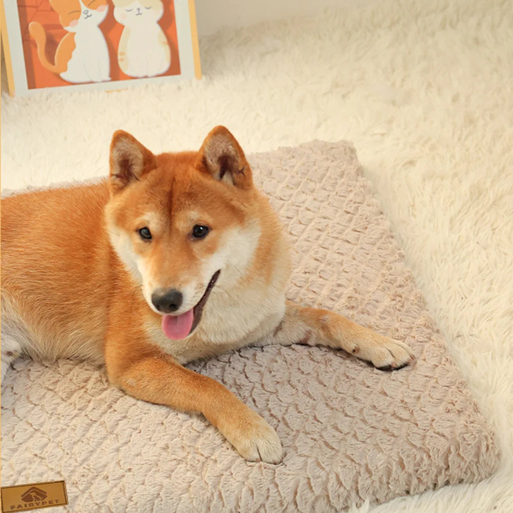 ZenPaw Orthopedic Memory Foam Dog & Cat Bed – Joint Support & Pressure Relief for Senior Pets