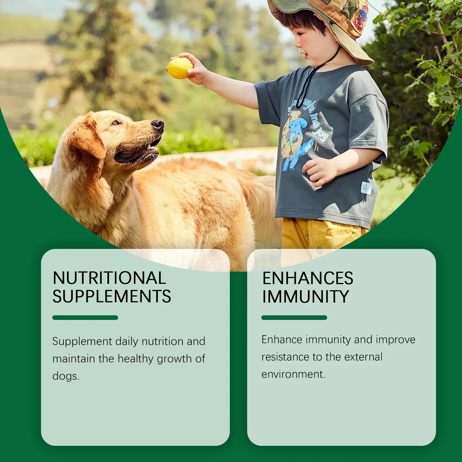 ZenPaw 60ml Immune-Boosting Multivitamin Supplement for Dogs – Gentle Daily Formula for Skin Health & Overall Wellness