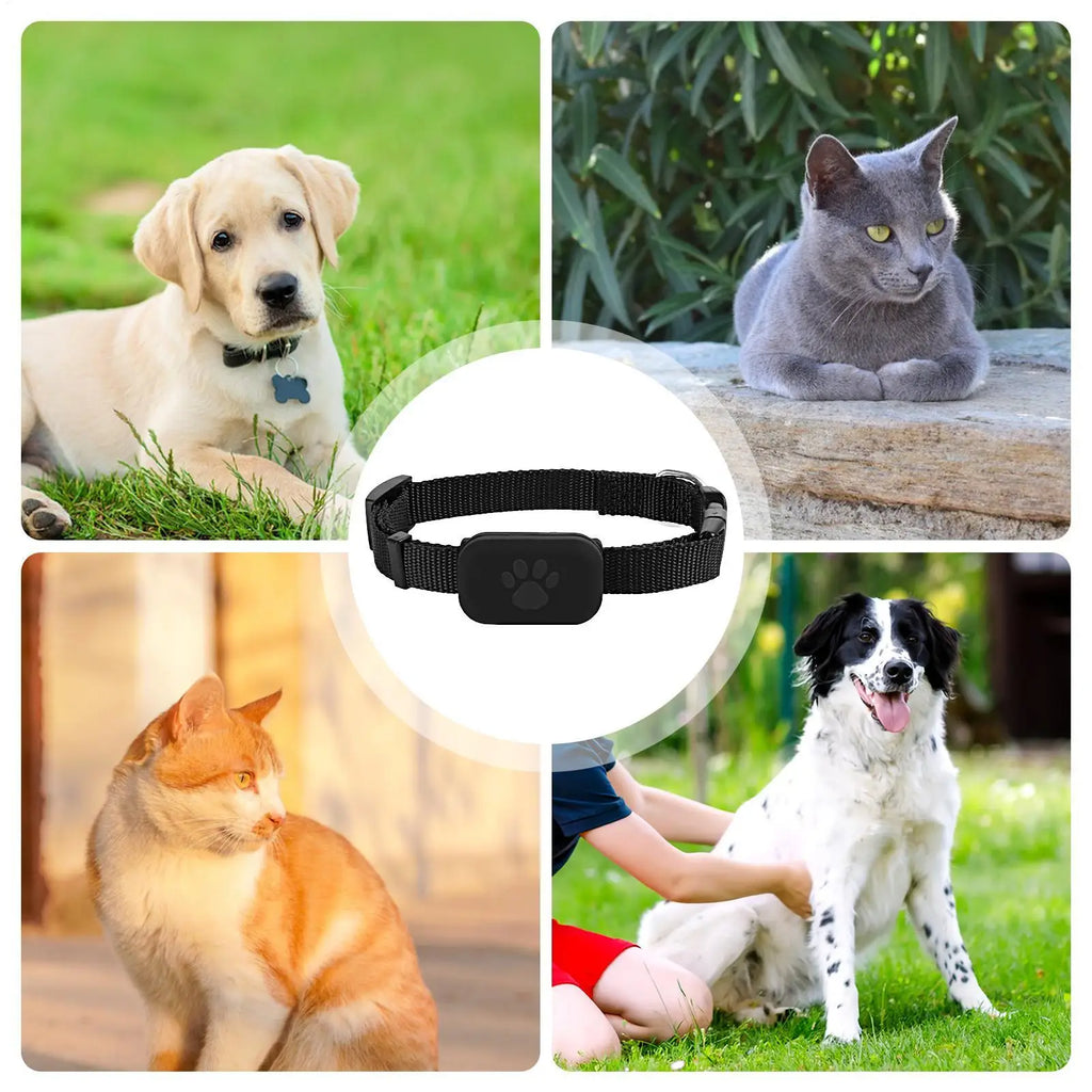 ZenPaw GPS Pet Tracker Collar – Real-Time Location Monitoring for Dogs & Cats