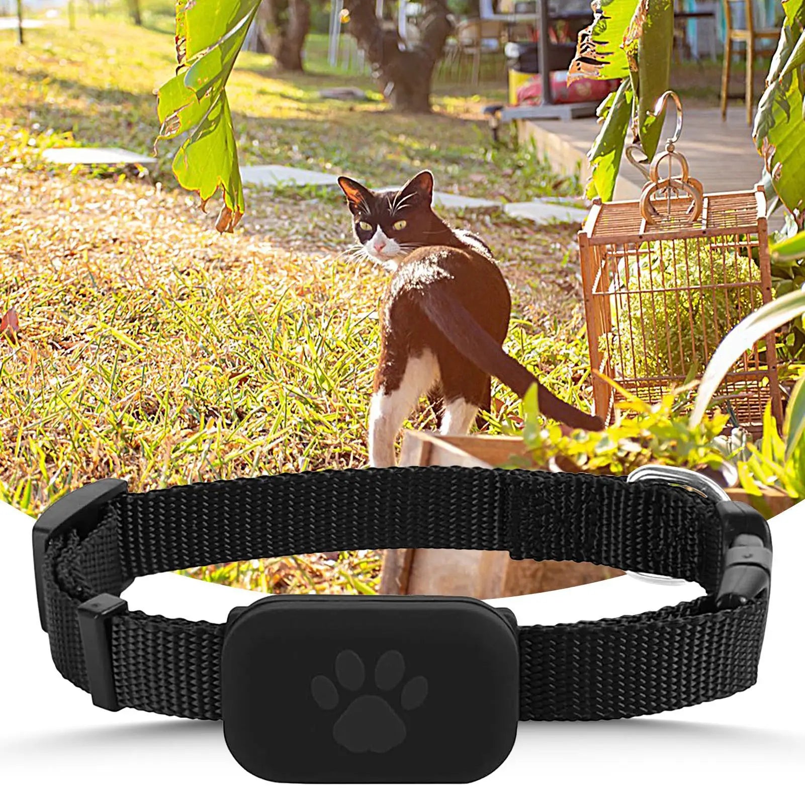 ZenPaw GPS Pet Tracker Collar – Real-Time Location Monitoring for Dogs & Cats